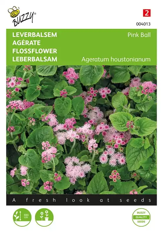 Nieuw binnen | Ageratum, Leverbalsem Pink Ball