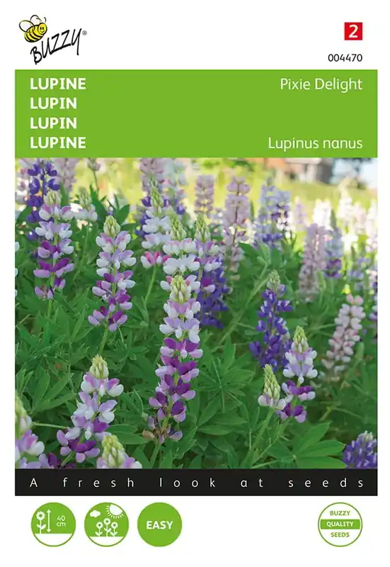 Lupinus, Lupine Pixie Delight gemengd | Extra voordeel