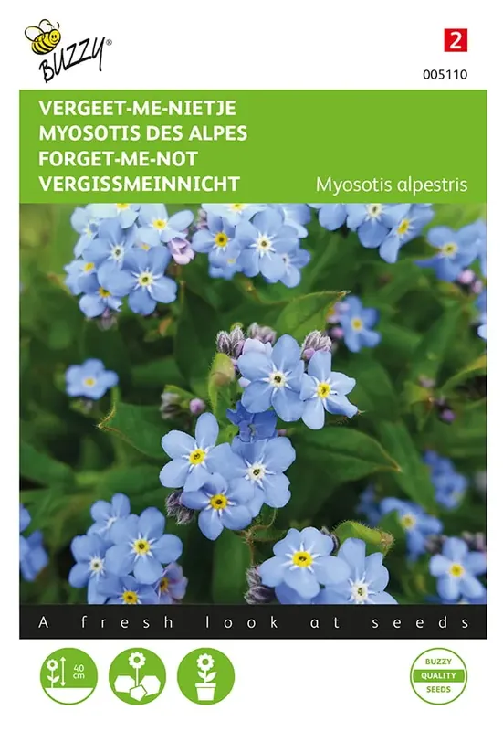 Voorraad bijna op | Myosotis, ‘vergeet-me-nietje‘ blauw