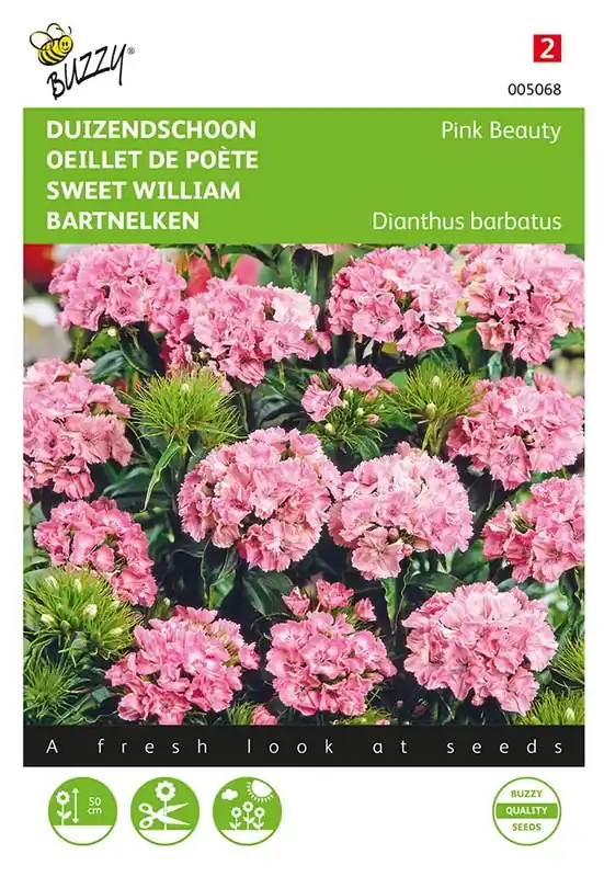 Direct bestellen - Dianthus, Duizendschoon Pink Beauty