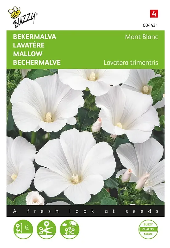 Lavatera, Bekermalva Mont Blanc - Meest verkocht