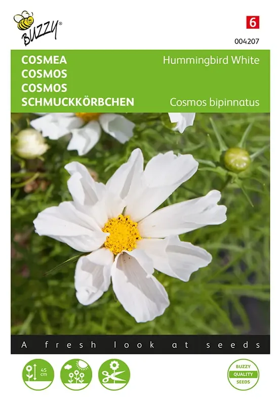 Cosmos, Cosmea Hummingbird White | Koop vandaag