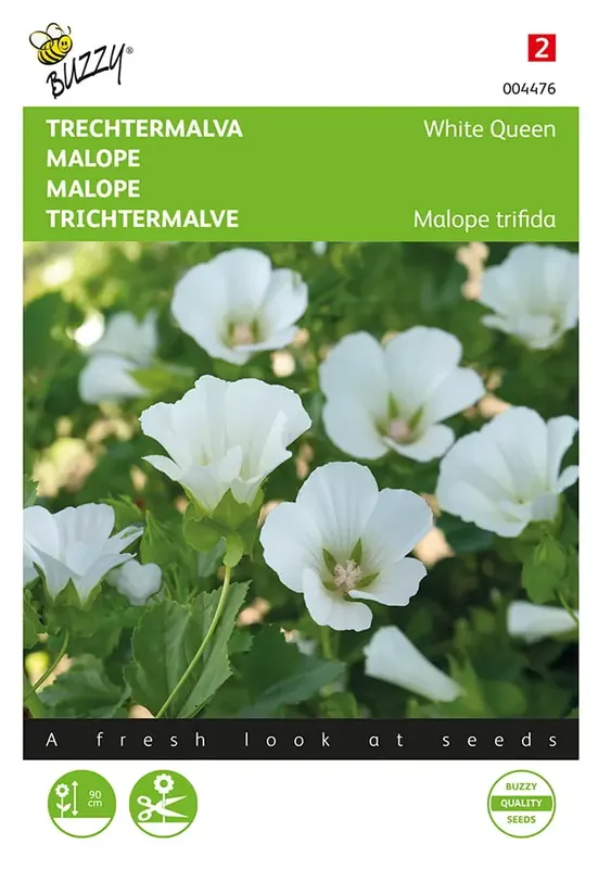 Professionele kwaliteit - Malope, Trechtermalva White Queen