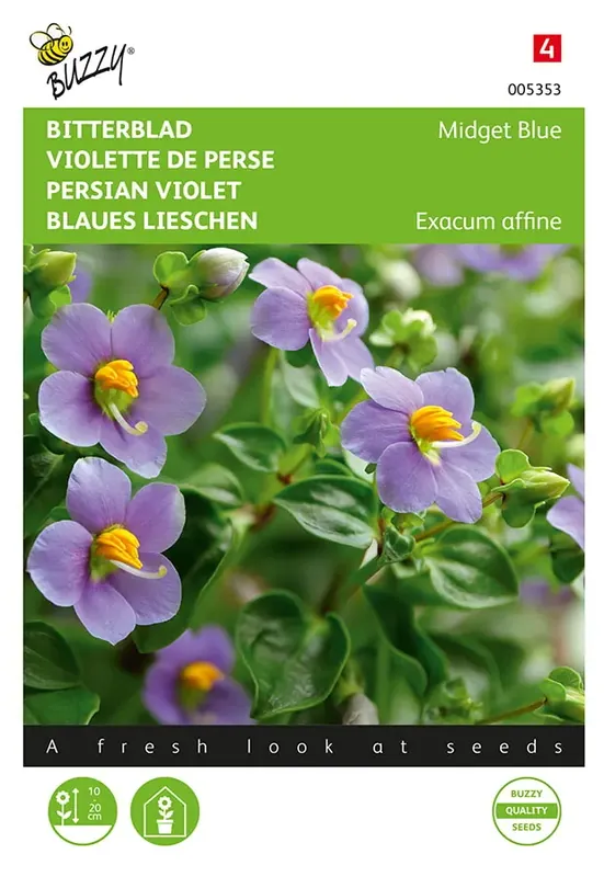 Veel voordeel | Exacum, Bitterblad Midget Blue