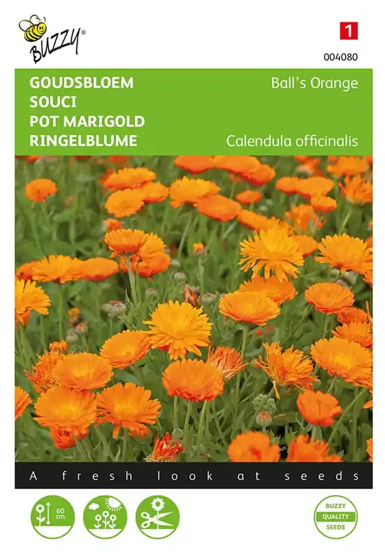Fabrieksprijs | Goudsbloem Ball’s Orange dubbelbloemig