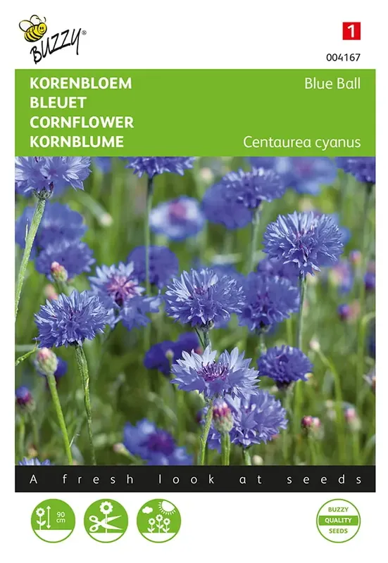 Speciale aanbieding | Korenbloem Blue Ball dubbelbloemig