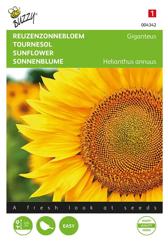 Helianthus, Reuzenzonnebloem Giganteus - Gratis retourneren