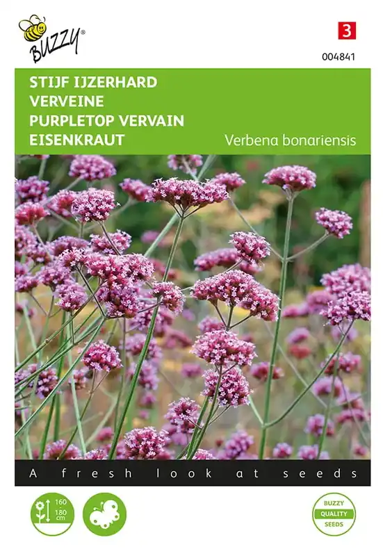 Nog maar enkele beschikbaar | Verbena, Stijf Ijzerhard