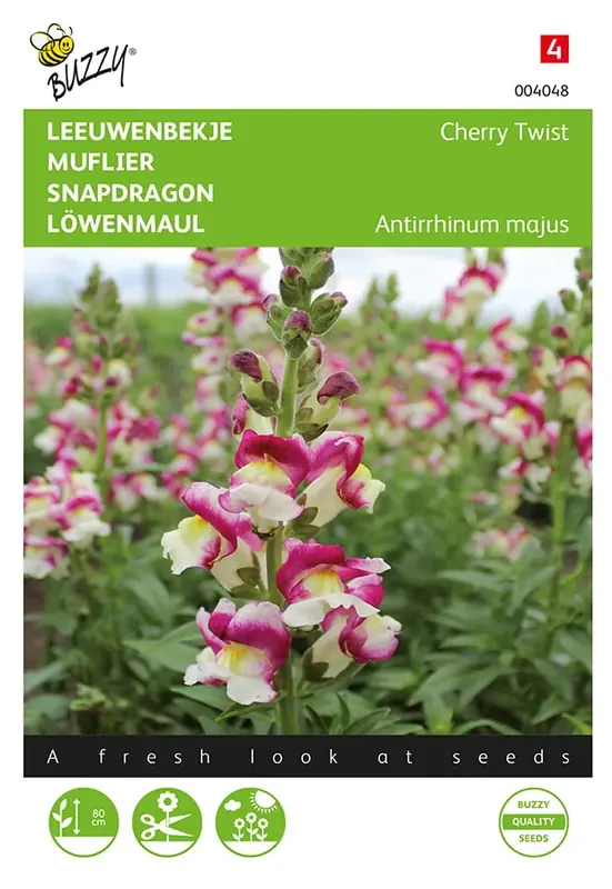 Fabrieksprijs | Antirrhinum, Leeuwenbekje Cherry Twist