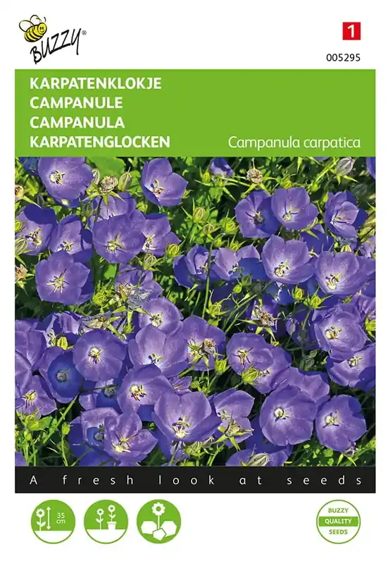 Premium - Campanula, Karpatenklokje Blauw