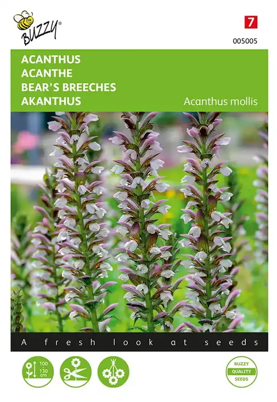 Online bestelbaar - Acanthus
