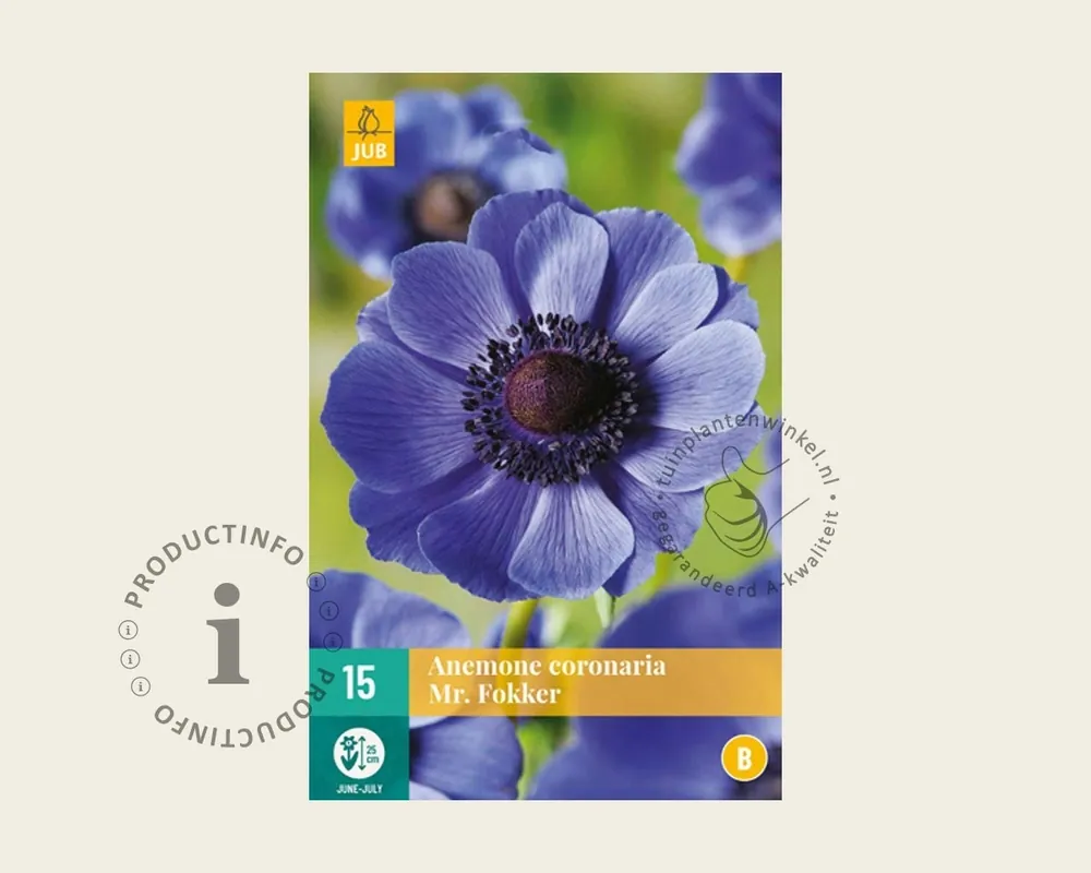 Anemone coronaria ‘Mr. Fokker‘ | Laatste kans