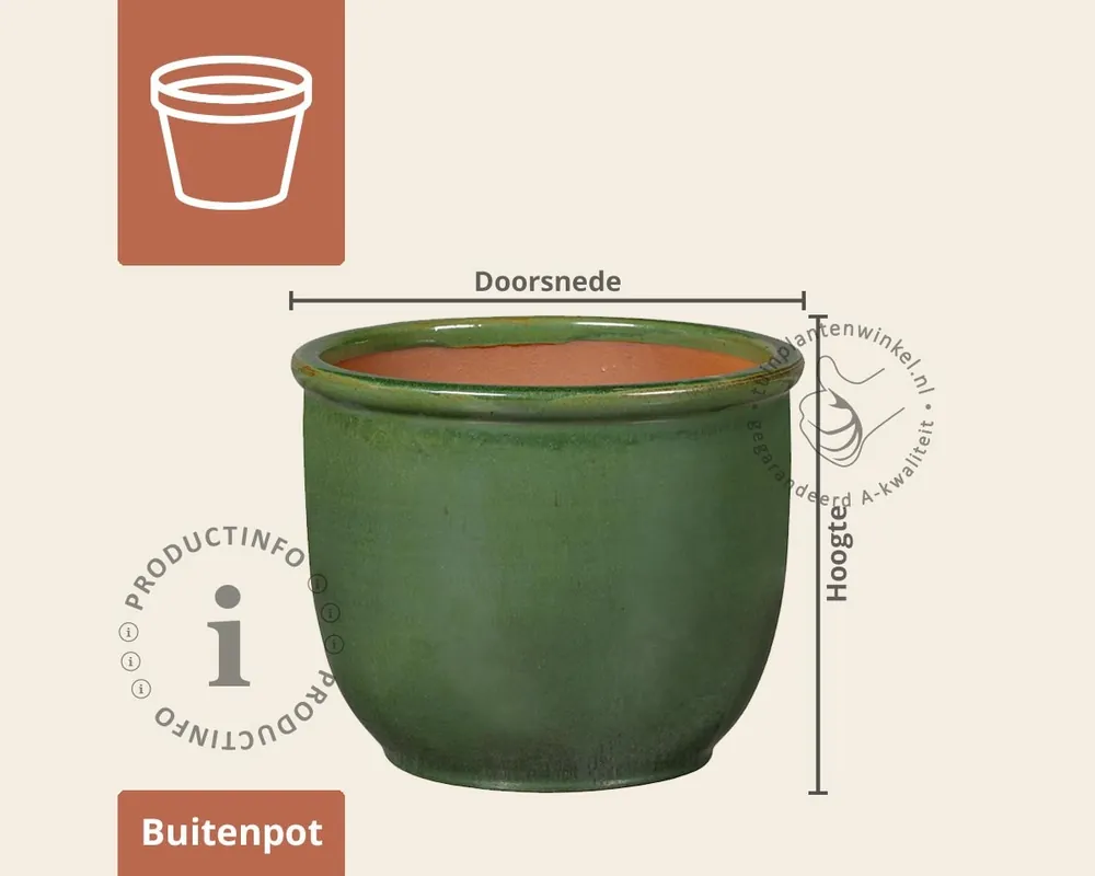 Bloempot Treviso 03 donker jade | Alleen vandaag