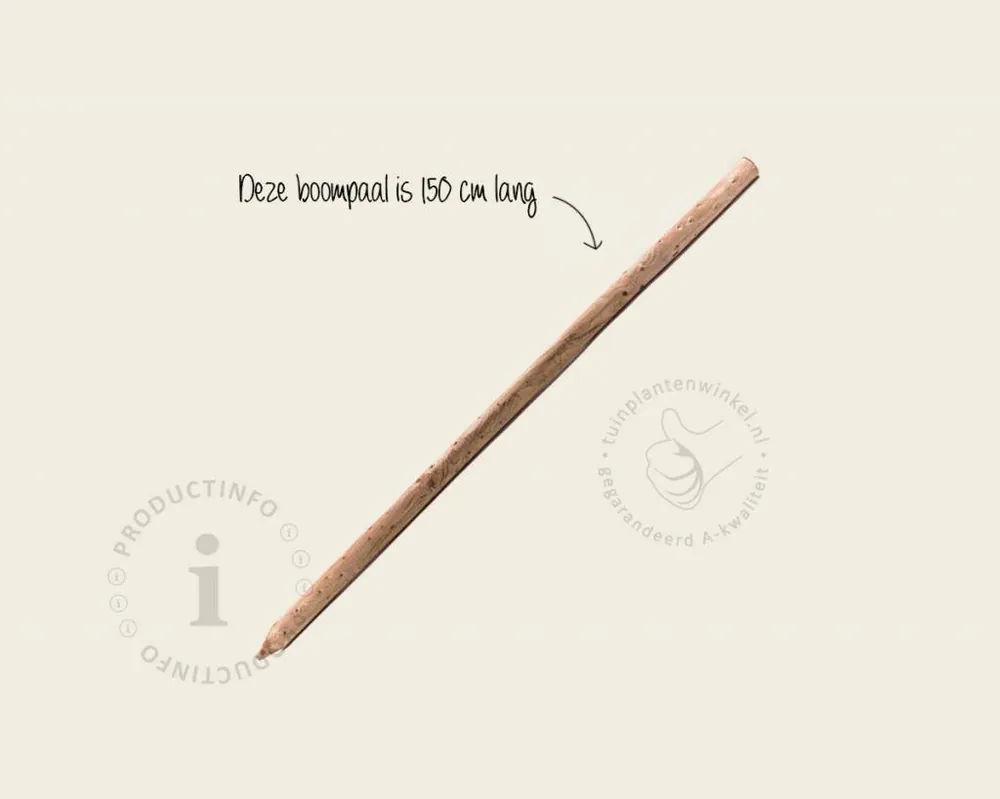 Boompaal - 150 cm | Veilig winkelen