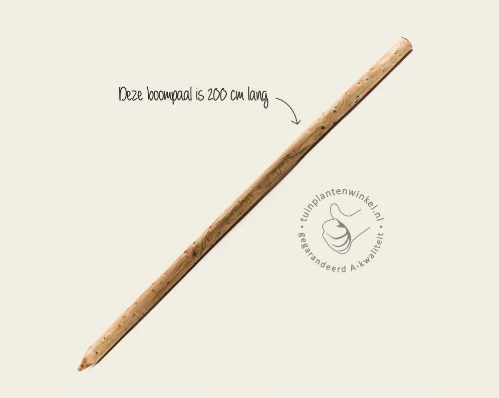 Online kopen - Boompaal - 200 cm