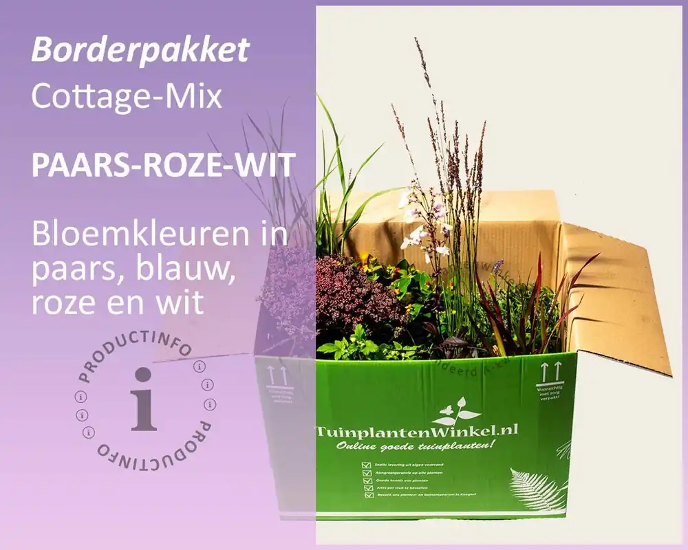Alleen vandaag - Mix borderpakket Cottage Mix - Paars-Roze-Wit