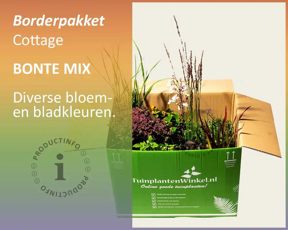 Mix borderpakket Cottage Mix - Bont - Premium