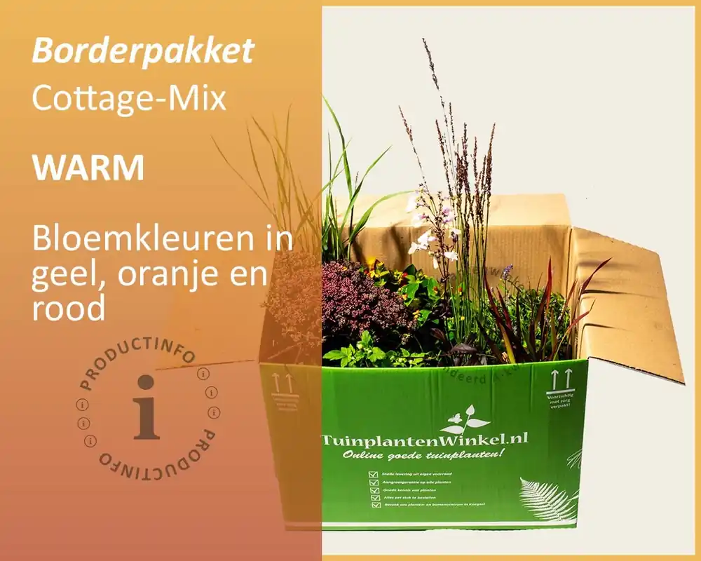 Nog maar enkele beschikbaar - Mix borderpakket Cottage Mix - Warm