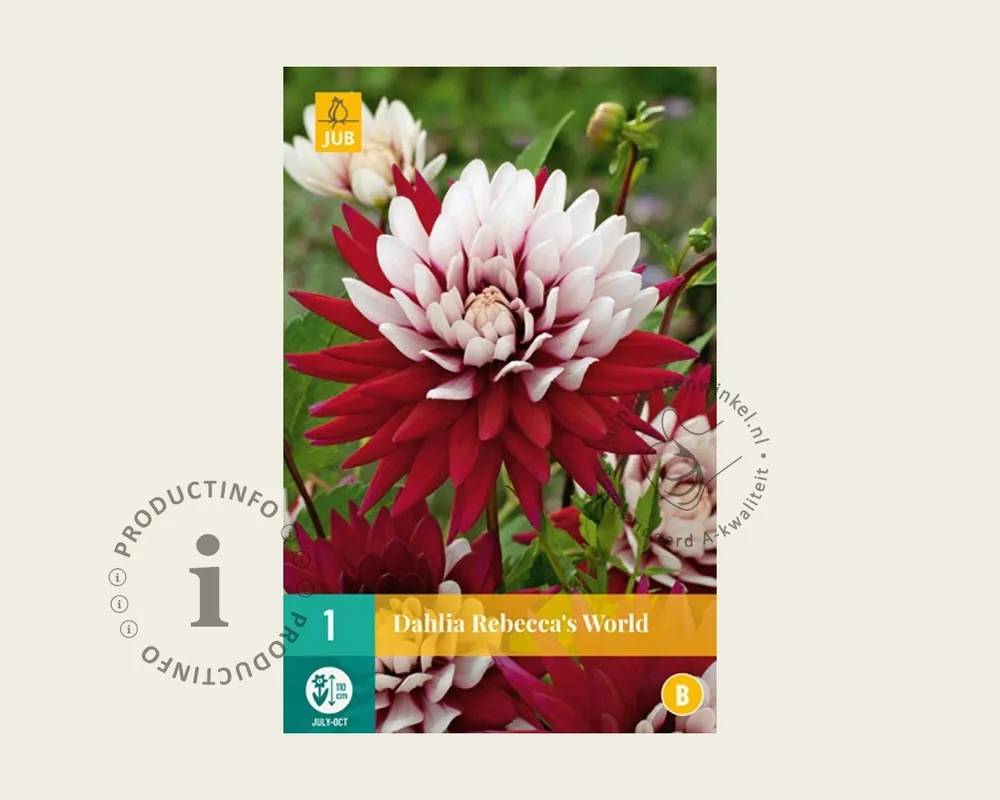 Dahlia ‘Rebecca‘s World‘ - Actie loopt bijna af