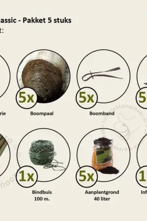 Aanbieding - Prunus novita leiboom - Rek 200x130 cm - pakket 5 stuks