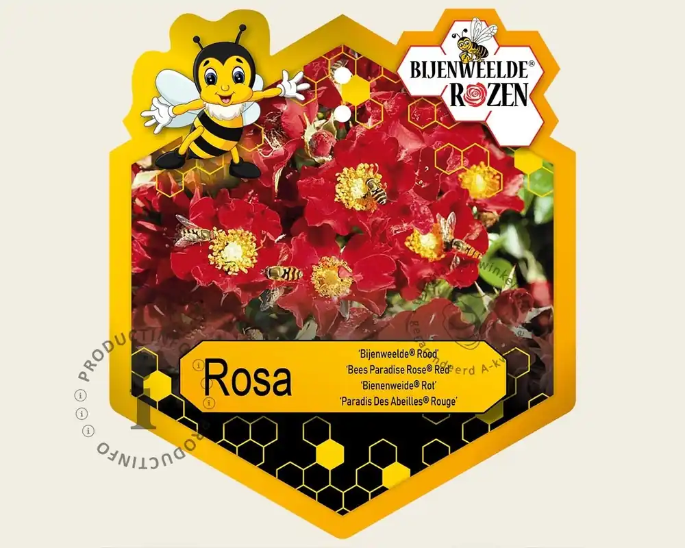 Rosa ‘Bijenweelde Rood‘ - Hoog gewaardeerd