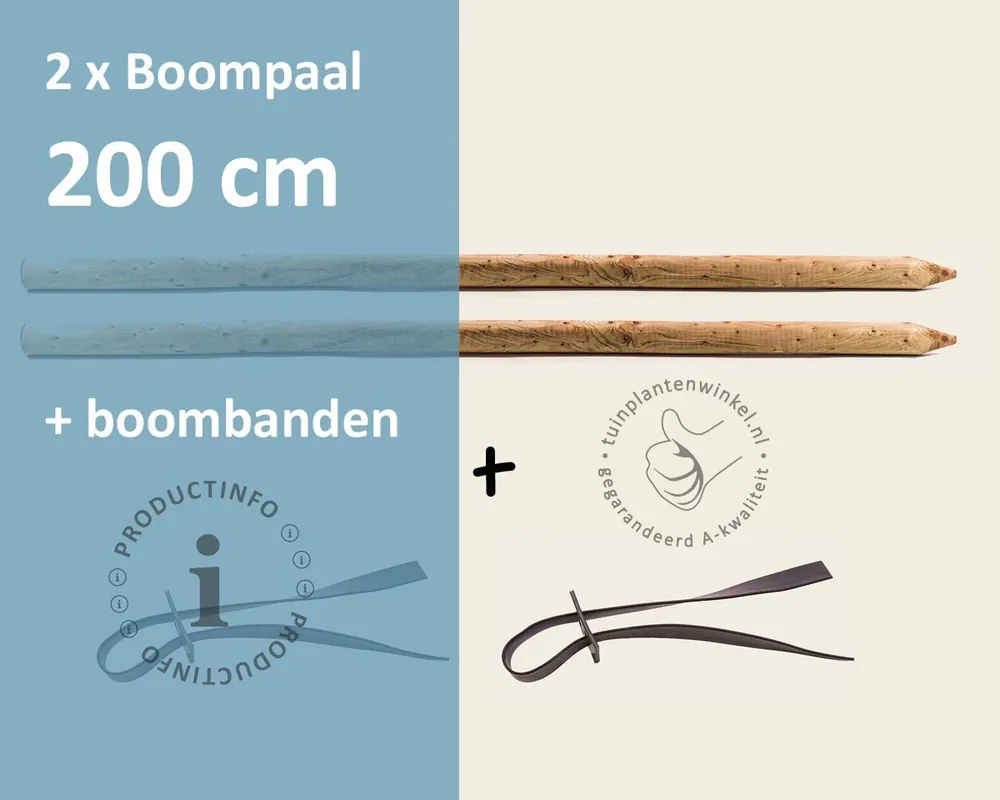 Toebehoren Leibomen 150-serie los bestellen - 2 Palen 200 cm + 2 Banden | Online bestellen