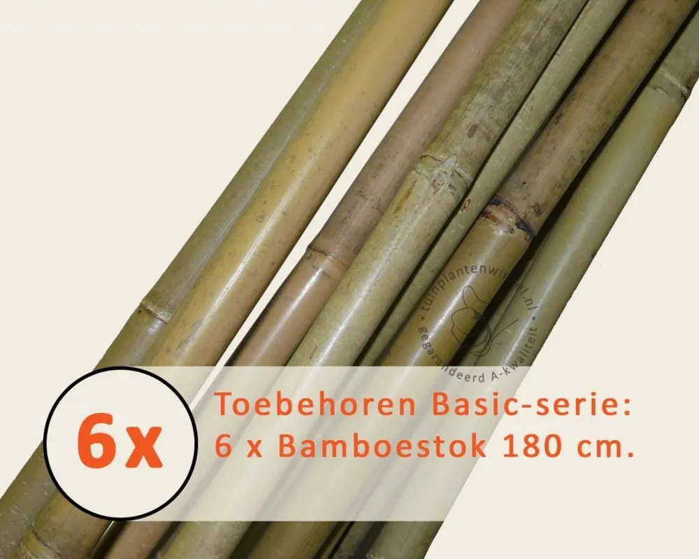 Toebehoren Leibomen Basic los bestellen - Bamboestok - Populair