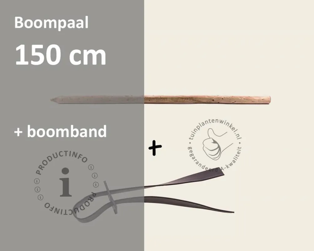 Toebehoren Leibomen los bestellen - Paal 150 cm + Band - Koopje