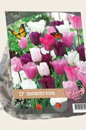 Aanbieding | Tulipa Fantastic Four