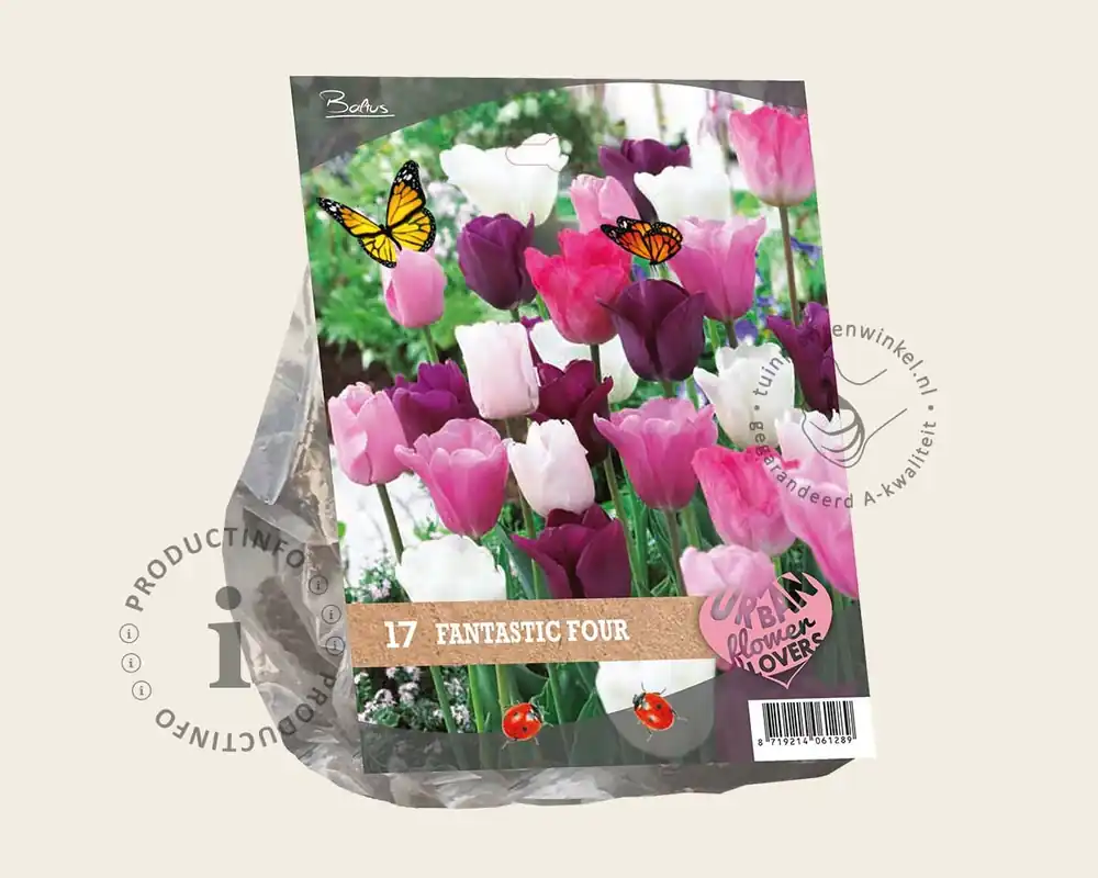 Aanbieding | Tulipa Fantastic Four