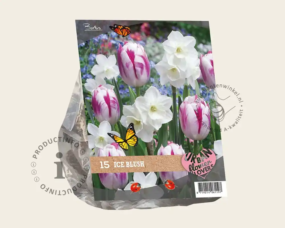 Bespaar nu - Tulipa / Narcissus - Ice Blush