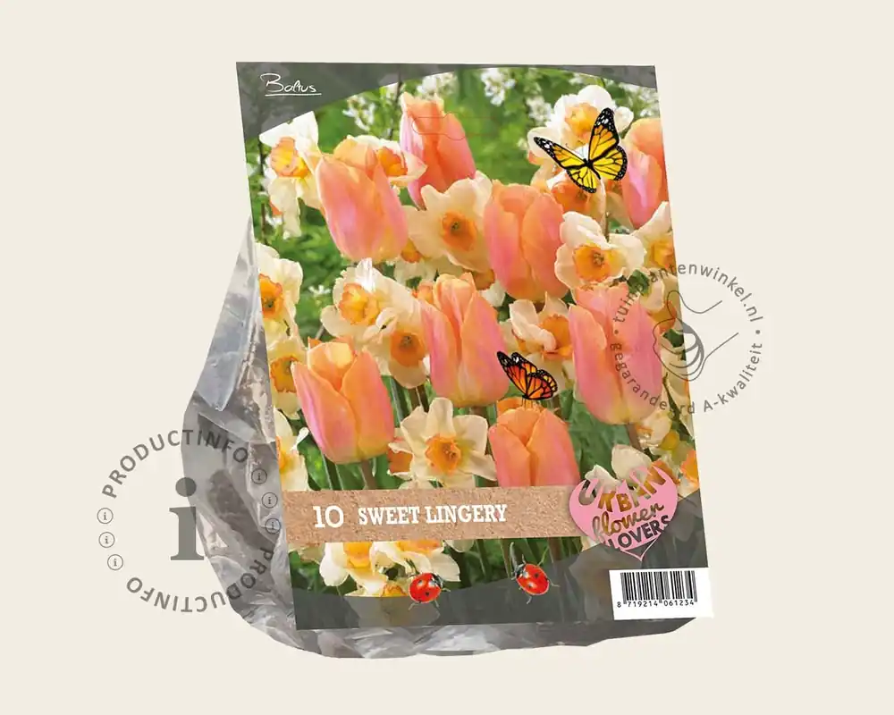 Tulipa / Narcissus - Sweet Lingery | Topprijs