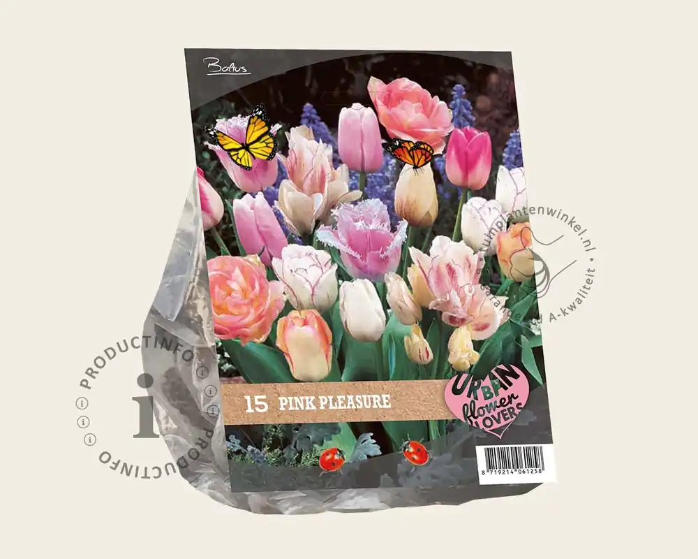 Veilig betalen | Tulipa Pink Pleasure