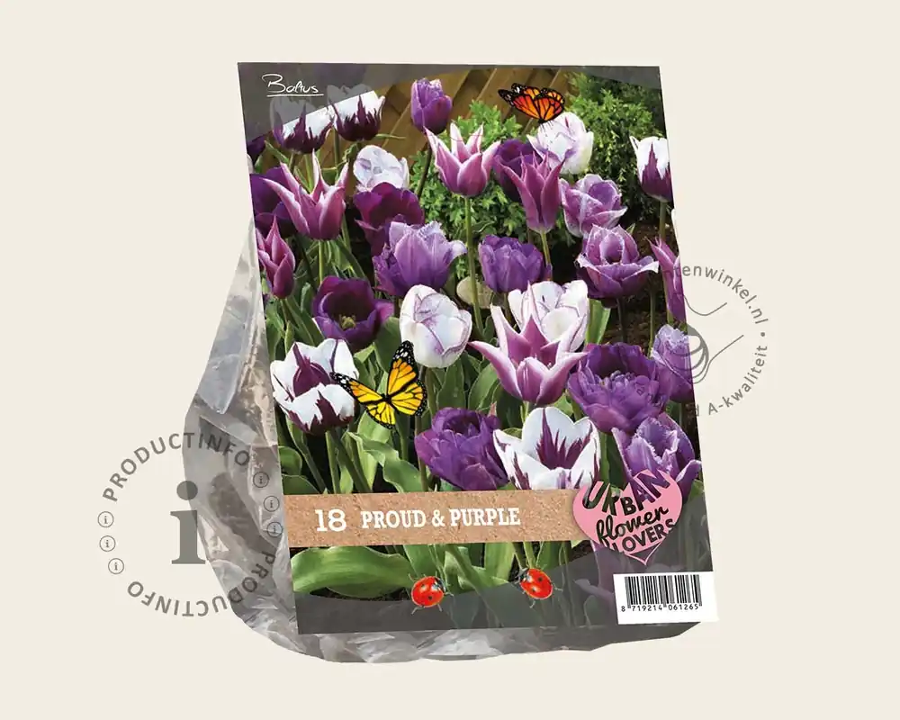 Klantfavoriet | Tulipa Proud & Purple