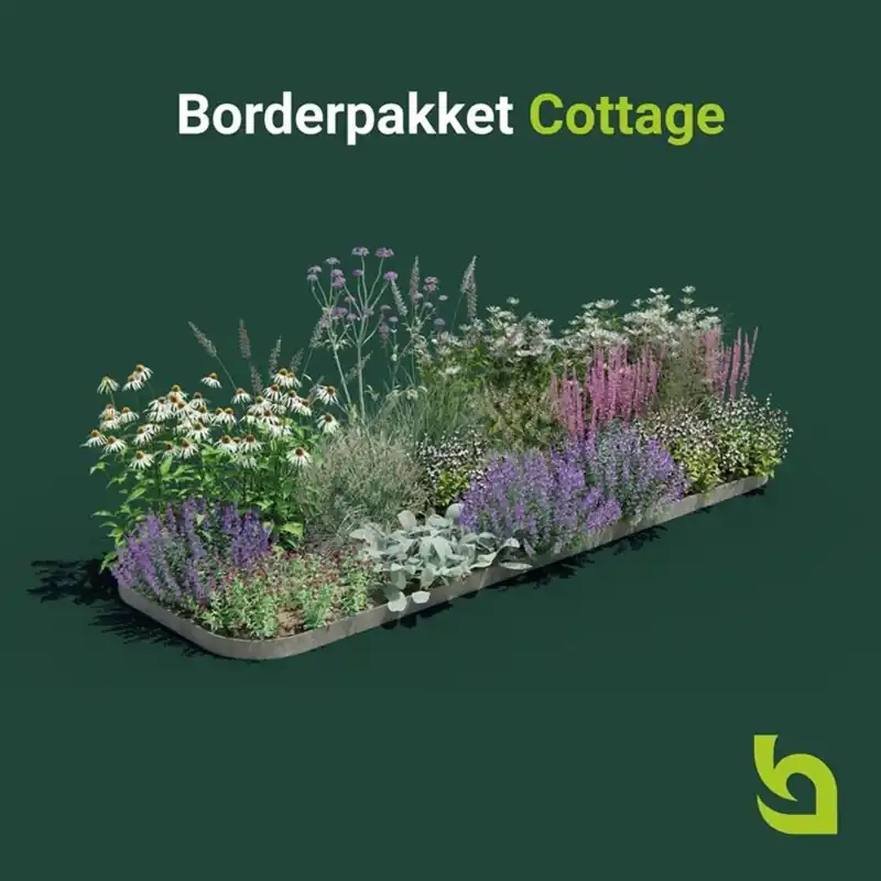 Nieuw in het assortiment - Borderpakket Cottage