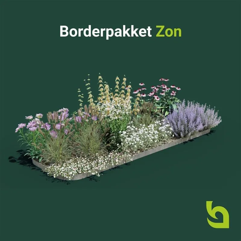 Borderpakket Zon | Scherp geprijsd