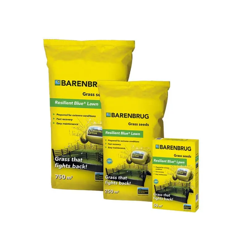 Rechtstreeks uit de fabriek | Resilient Blue Lawn Barenbrug