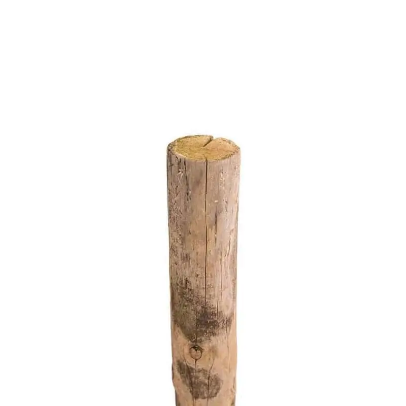 Nieuw - Kastanje paal Ø 4/6 cm ongepunt