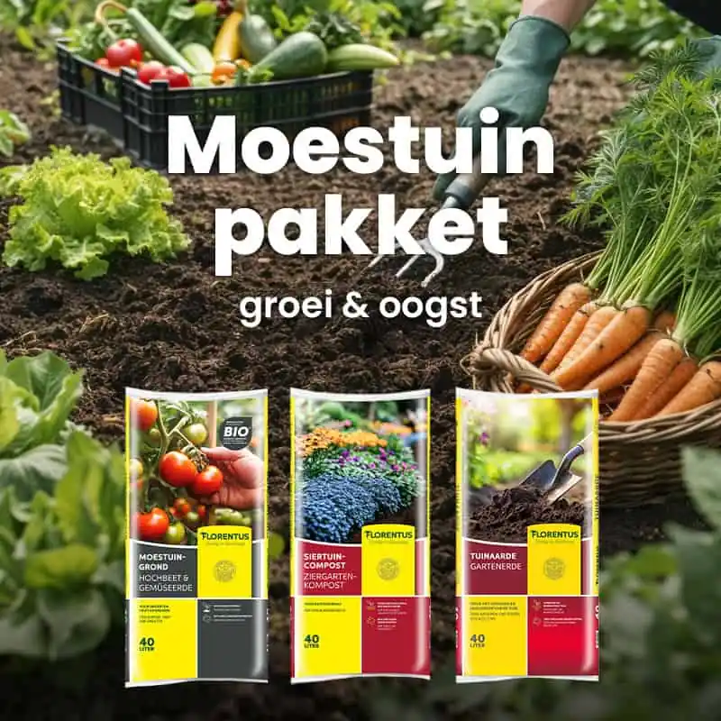 Moestuinpakket - Direct leverbaar