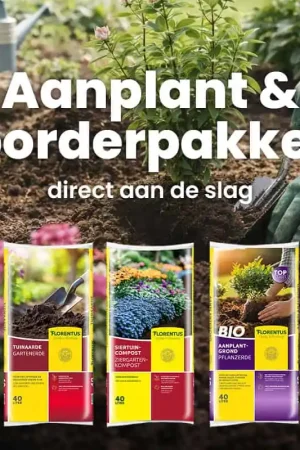 Aanplant & borderpakket - Aanbieding