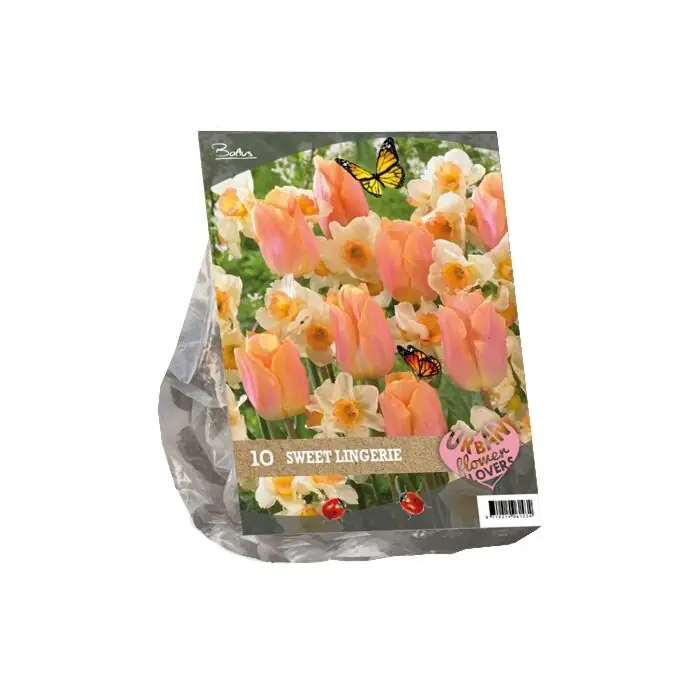 Direct bestellen | Urban Flowers - Sweet Lingery per 10