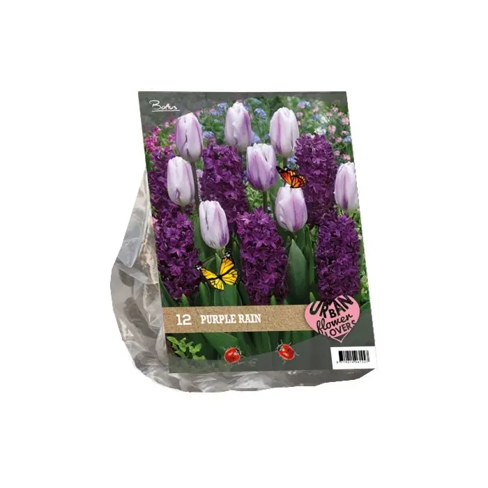 Flitsaanbieding | Urban Flowers - Purple Rain per 12