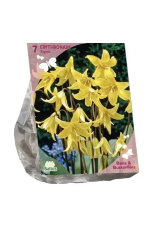 Bees & Butterflies - Erythronium per 7 - Deal