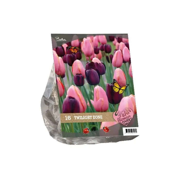 Hoog gewaardeerd | Urban Flowers - Twilight Zone per 16