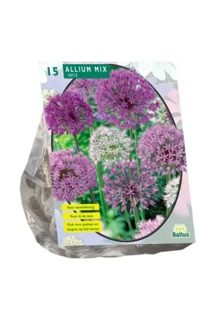 Allium Mix Paars-Wit per 15 - Aanbieding
