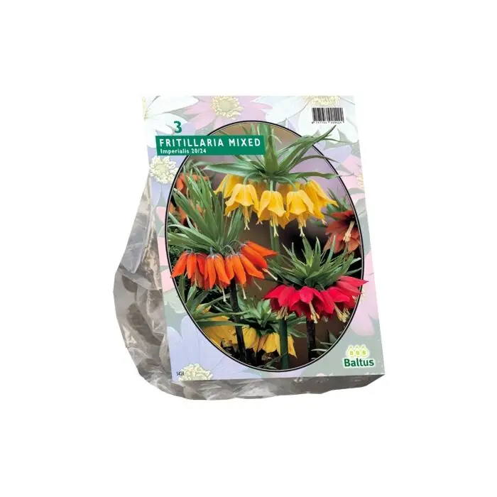 Fritillaria Imperialis Mixed per 3 | Superprijs