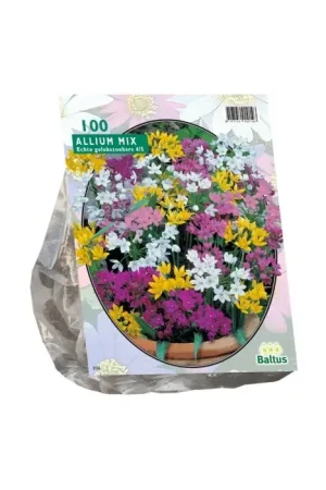 Allium Mix per 100 | Nu kopen