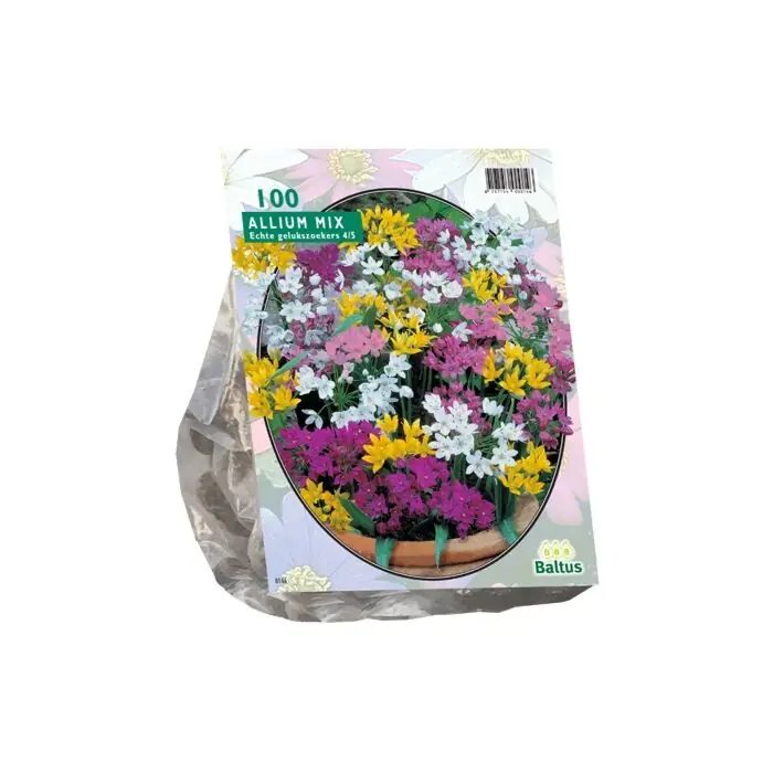 Allium Mix per 100 | Nu kopen