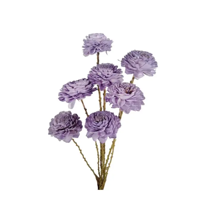 Bunch Shola Ranunculus paars 6 cm - HBX Natural Living | Topkwaliteit