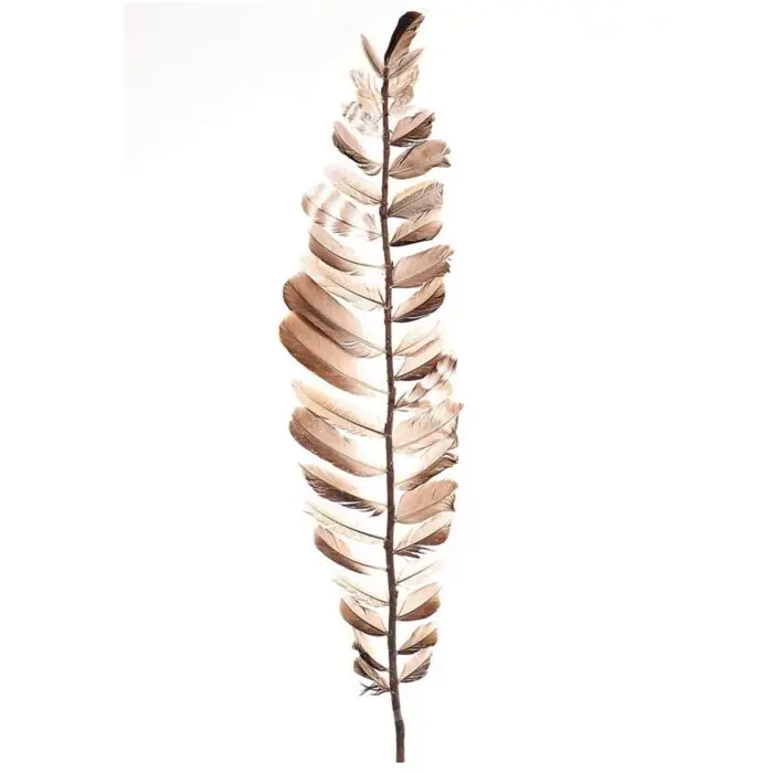 Goed beoordeeld - Stem feather Aparani 100 cm - HBX